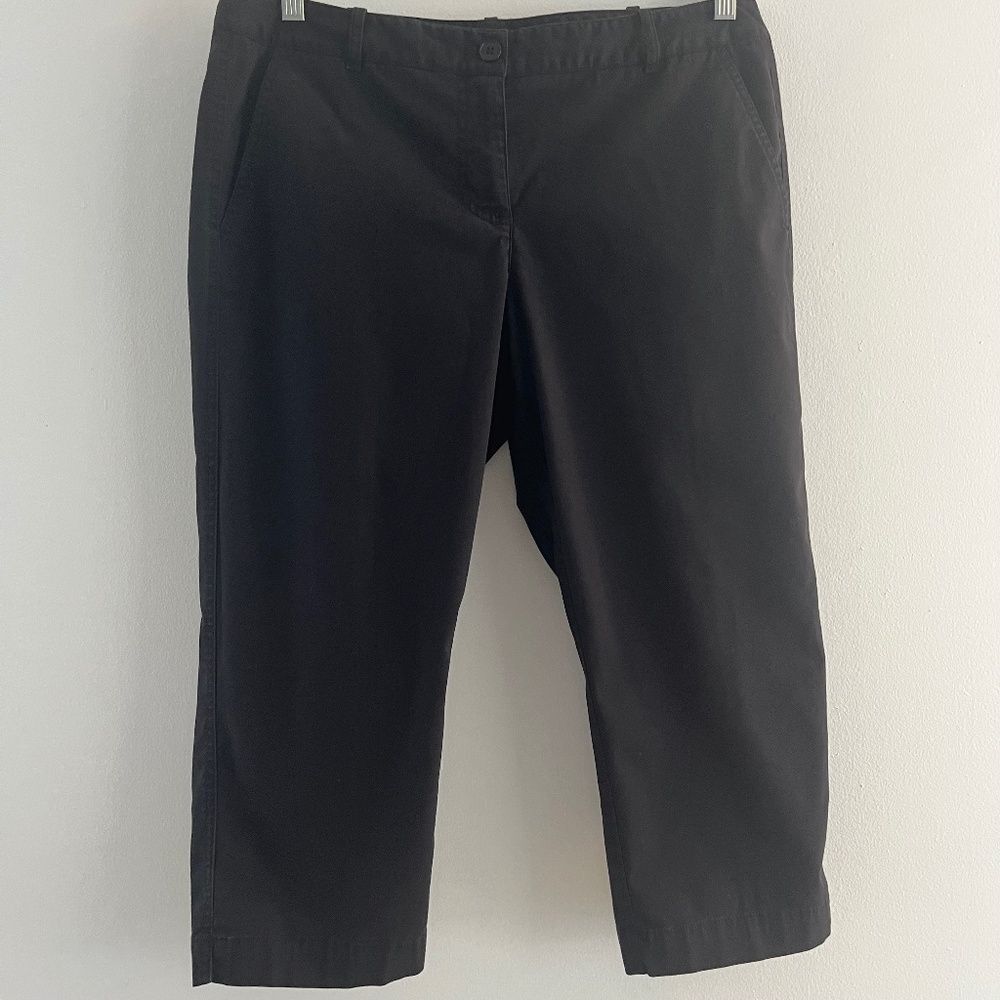 TALBOTS  petites signature women  capris pants Size 12P